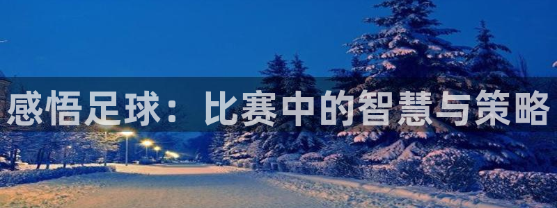  感悟足球：比赛中的智慧与策略