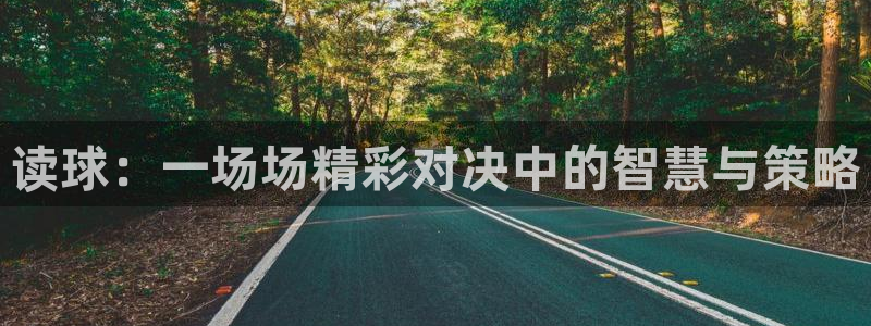 读球：一场场精彩对决中的智慧与策略