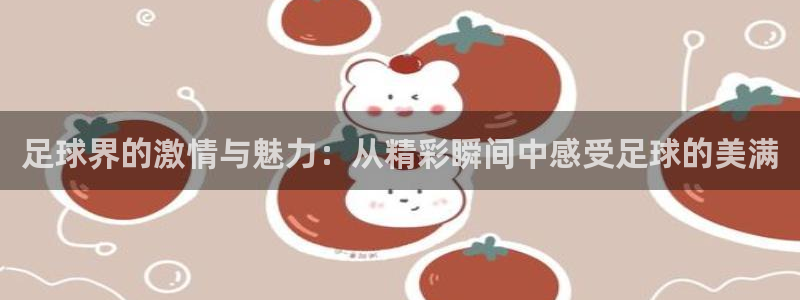  足球界的激情与魅力：从精彩瞬间中感受足球的美满