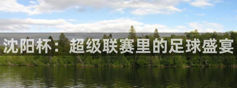  沈阳杯：超级联赛里的足球盛宴