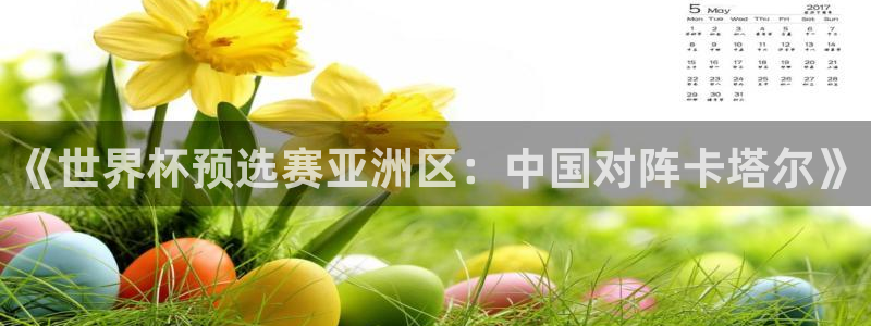 《世界杯预选赛亚洲区：中国对阵卡塔尔》