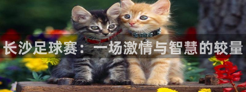 长沙足球赛：一场激情与智慧的较量