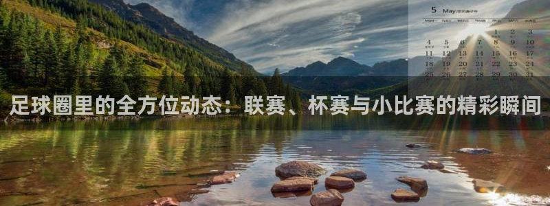  足球圈里的全方位动态：联赛、杯赛与小比赛的精彩瞬间