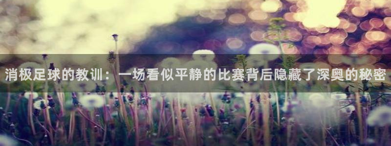  消极足球的教训：一场看似平静的比赛背后隐藏了深奥的秘密