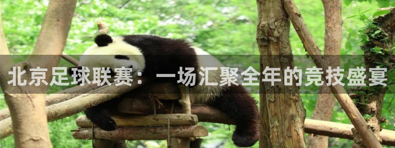 北京足球联赛：一场汇聚全年的竞技盛宴