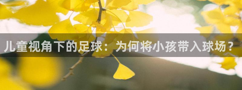  儿童视角下的足球：为何将小孩带入球场？