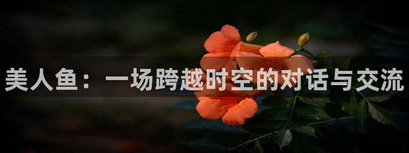 51视频在线直播nba