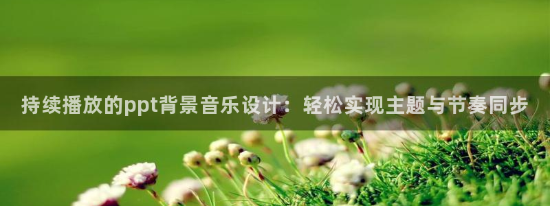 51视频在线直播nba