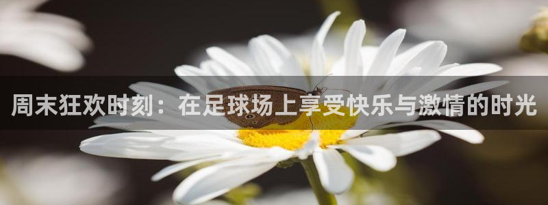 周末狂欢时刻：在足球场上享受快乐与激
