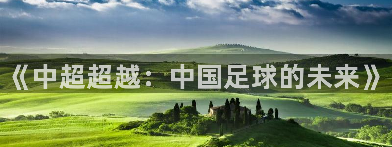 《中超超越：中国足球的未来》