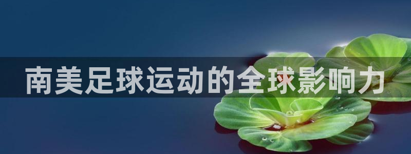 南美足球运动的全球影响力