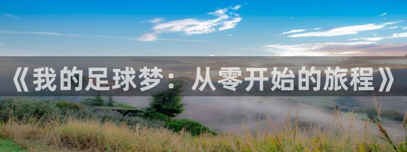 《我的足球梦：从零开始的旅程》
