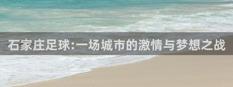 石家庄足球:一场城市的激情与梦想之战