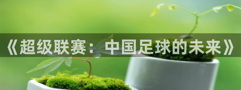 《超级联赛：中国足球的未来》