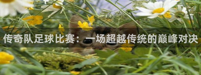  传奇队足球比赛：一场超越传统的巅峰对决