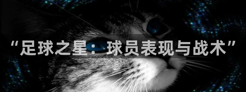 “足球之星：球员表现与战术”