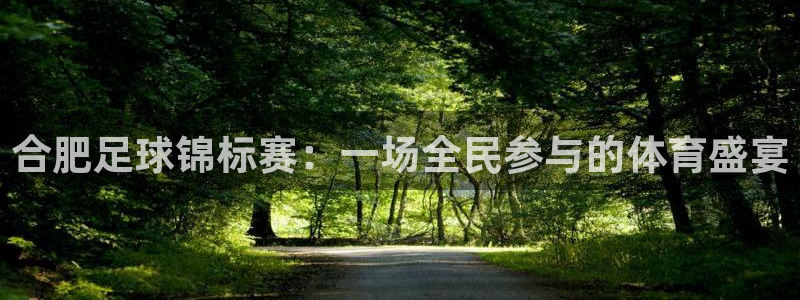 合肥足球锦标赛：一场全民参与的体育盛宴