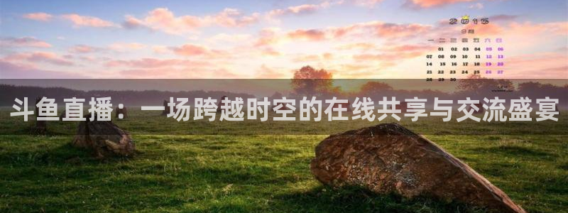 51视频在线直播nba