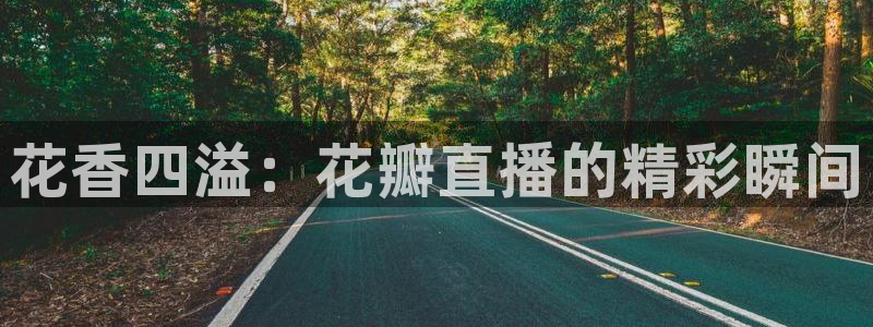 51视频在线直播nba
