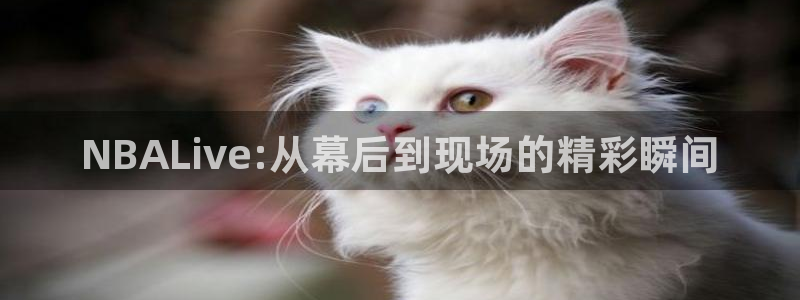 51视频在线直播nba