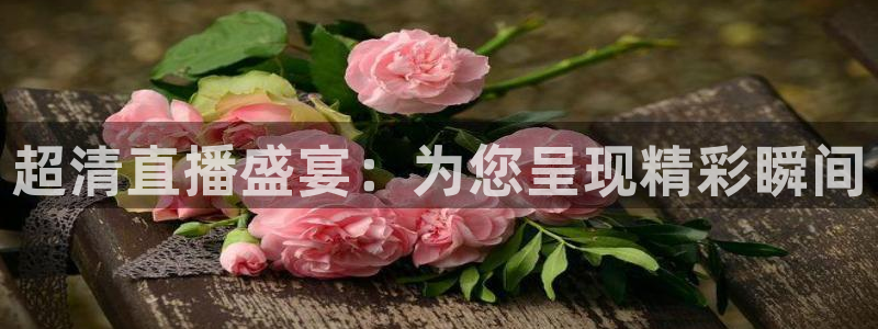 51视频在线直播nba：超清直播盛宴：为您呈现精彩瞬间