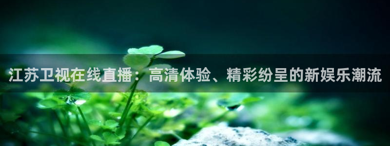 51视频在线直播nba：江苏卫视在线直播：高清体验、精彩纷呈的新娱乐潮流
