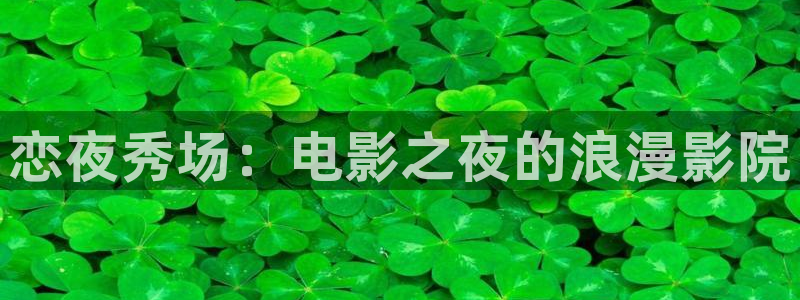 51视频在线直播nba：恋夜秀场：电影之夜的浪漫影院