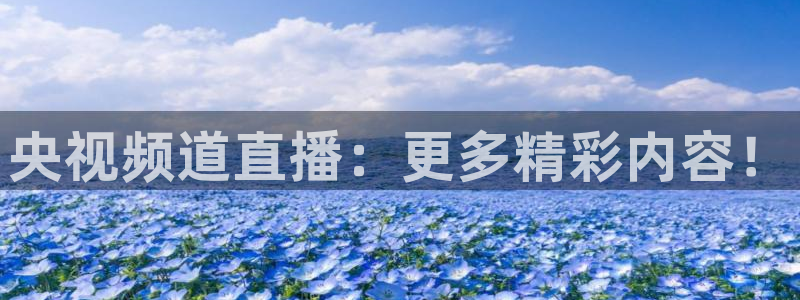 51视频在线直播nba：央视频道直播：更多精彩内容！