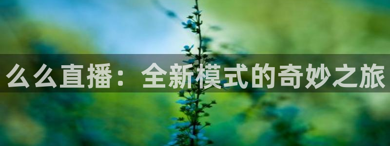 51视频在线直播nba：么么直播：全新模式的奇妙之旅